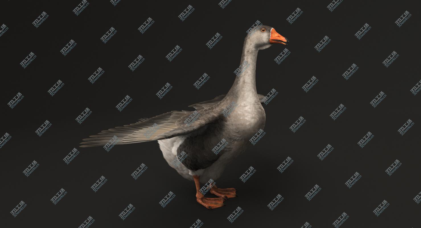 images/goods_img/2021040162/3D Domestic Goose model/3.jpg